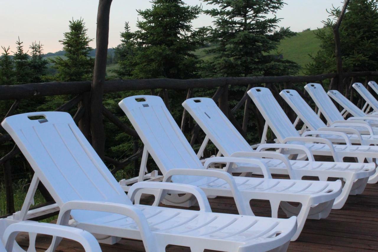 Bieszczadzkie Wrota Lasu Hotel Steznica  Ngoại thất bức ảnh